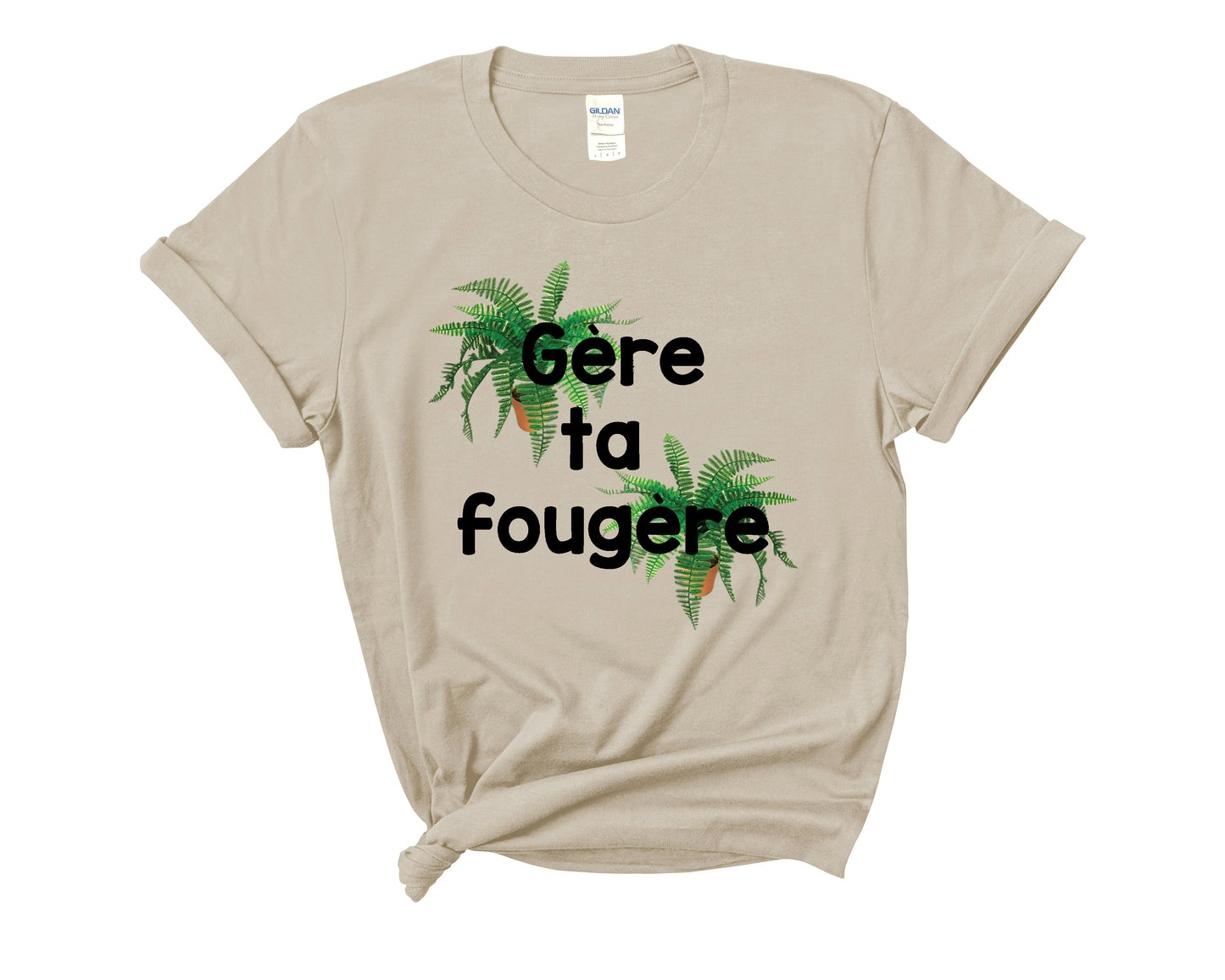 Gère ta fougère 2